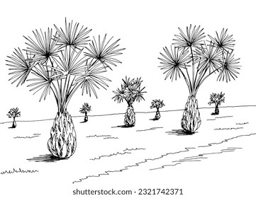 Palm grove plantation graphic black white landscape sketch illustration vector 