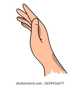 Palm of hand in doodle style vector isolated. Hand touching gesture, hand-drawn illustration. Part of body, human hand.
