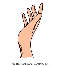 Palm of hand in doodle style vector isolated. Hand touching gesture, hand-drawn illustration. Part of body, human hand.