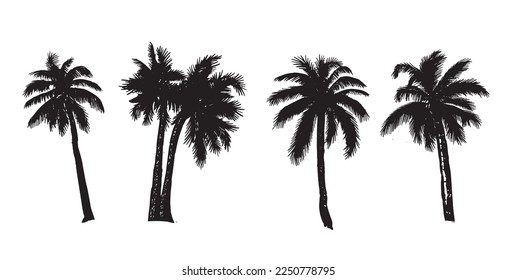 Palm hand drawn illustrations, vector.