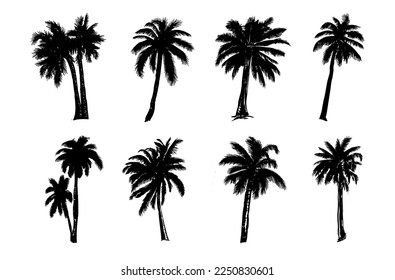 Palm hand drawn illustrations, vector.