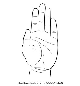 palm and the hand, the stop signal on white background of vector illustrations