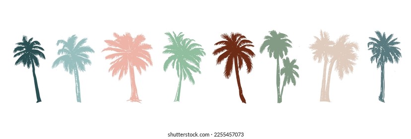 Palm, Hello Summer, hand drawn illustrations, vector.