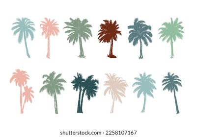 Palm, Hello Summer, ilustraciones a mano, vector.