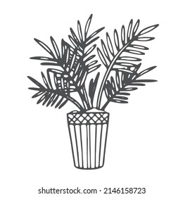Palm house tree in a pot. Black and white flat illustration, sketch home boho style. Isolated vector illustration