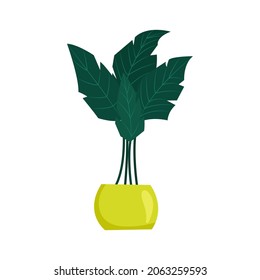 Palm houseplant in a pot. Vector illustration in flat style.