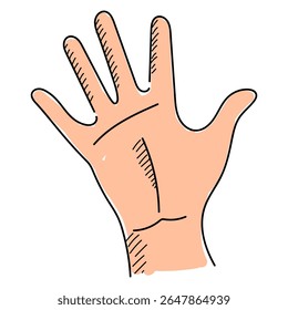 Palm of human hand vector isolated. Hand-drawn illustration of a hand. Fingers showing number five. Hand gesturing.