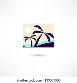 palm icon