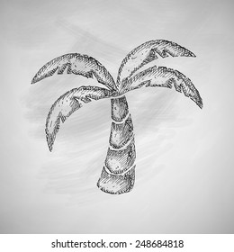 palm icon