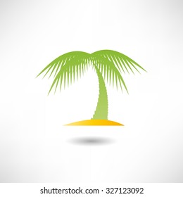 Palm icon