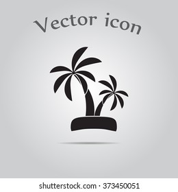 Palm icon