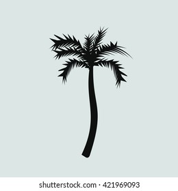 palm icon