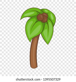 Palm icon. Cartoon illustration of palm vector icon for web