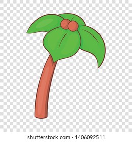 Palm icon. Cartoon illustration of palm vector icon for web