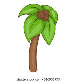 Palm icon. Cartoon illustration of palm vector icon for web