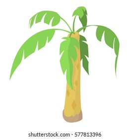 Palm icon. Cartoon illustration of palm vector icon for web
