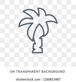 Palm icon. Palm design concept from Fruit and vegetables collection. Simple element vector illustration on transparent background.