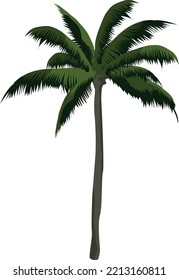 Palm icon. Exotic tropical tree. Beach symbol