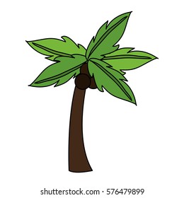 palm icon image