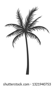 palm icon isolated