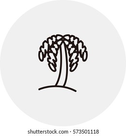 Palm icon. Line design tree vector.