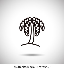 Palm icon. Line design tree vector.