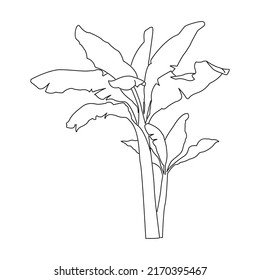 Palmsymbol. Umrisslinie Illustrationspalm, Vektorsymbol.
