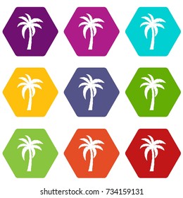 Palm icon set many color hexahedron isolated on white vector illustration