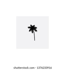 palm icon vector
