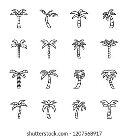 The Palm Icons