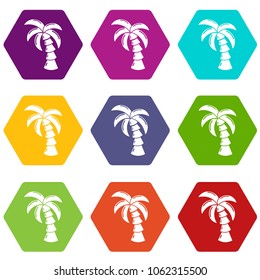 Palm icons 9 set coloful isolated on white for web