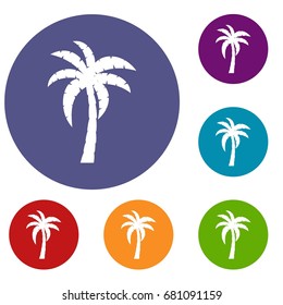 Palm icons set in flat circle red, blue and green color for web