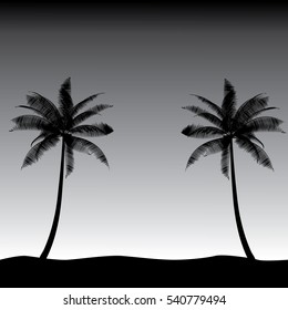 Palm illustration