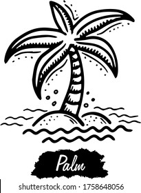 Palm isolated on white background. Vintage black vector engraving illustration. Hand drawn in a graphic style.