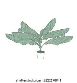 Palm jungle green leaves home plant, tropical design