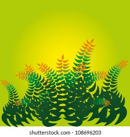 palm leaf
