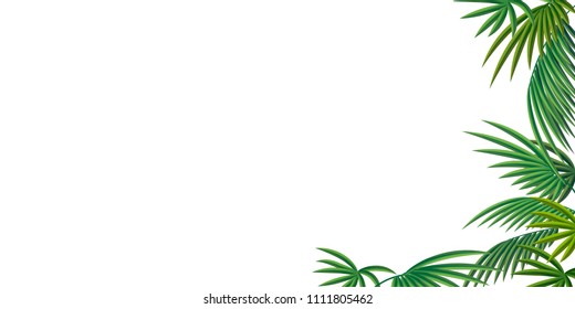 A palm leaf. Abstract pattern for the background of banners and sites .Vectoral illustration.