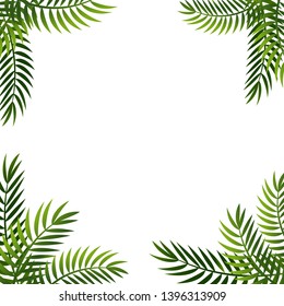 Palm Leaf  Background. Summer frame with palm. Offer banner