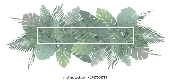 palm leaf background with title box.
leaves illustration for graphic design.