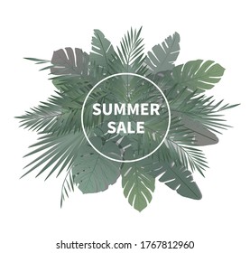 palm leaf background with title box.
leaves design for summer promotion.