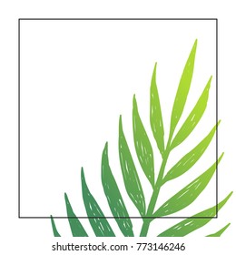 Palm leaf background. Vector background design