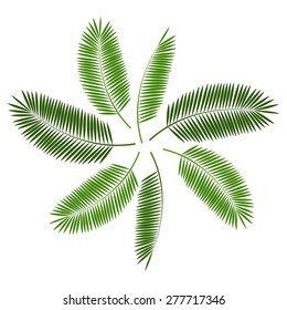 Palm Leaf  Background Vector Illustration EPS10