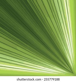 Palm leaf based symmetric square texture