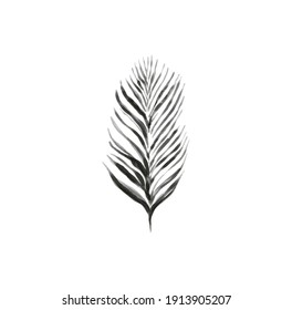 palm leaf black and white