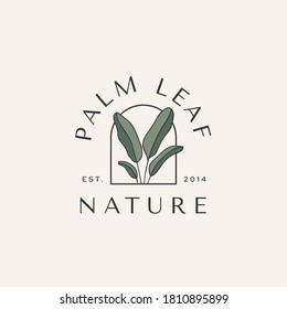 Palm Leaf Botanical Logotype Vintage Hipster Illustration Icon Template	