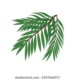 palm leaf branch realistic vector illustration isolated on white background.	
