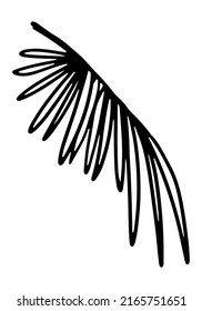 Palm leaf clipart. Tropical flora doodle sketch. Hand drawn vector botany illustration. Engraving style doodle isolated on white.