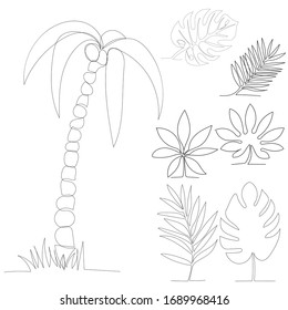 palm leaf continuous line drawing, set