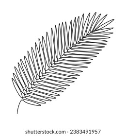 Palm leaf continuous one line drawing. Vector illustration isolated. Minimalist design handdrawn.