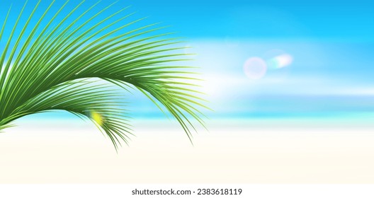 Palm leaf in the corner on tropical beach background. Empty sandy beach. Vacation and travel concept. Copy space. Vector illustration. 

